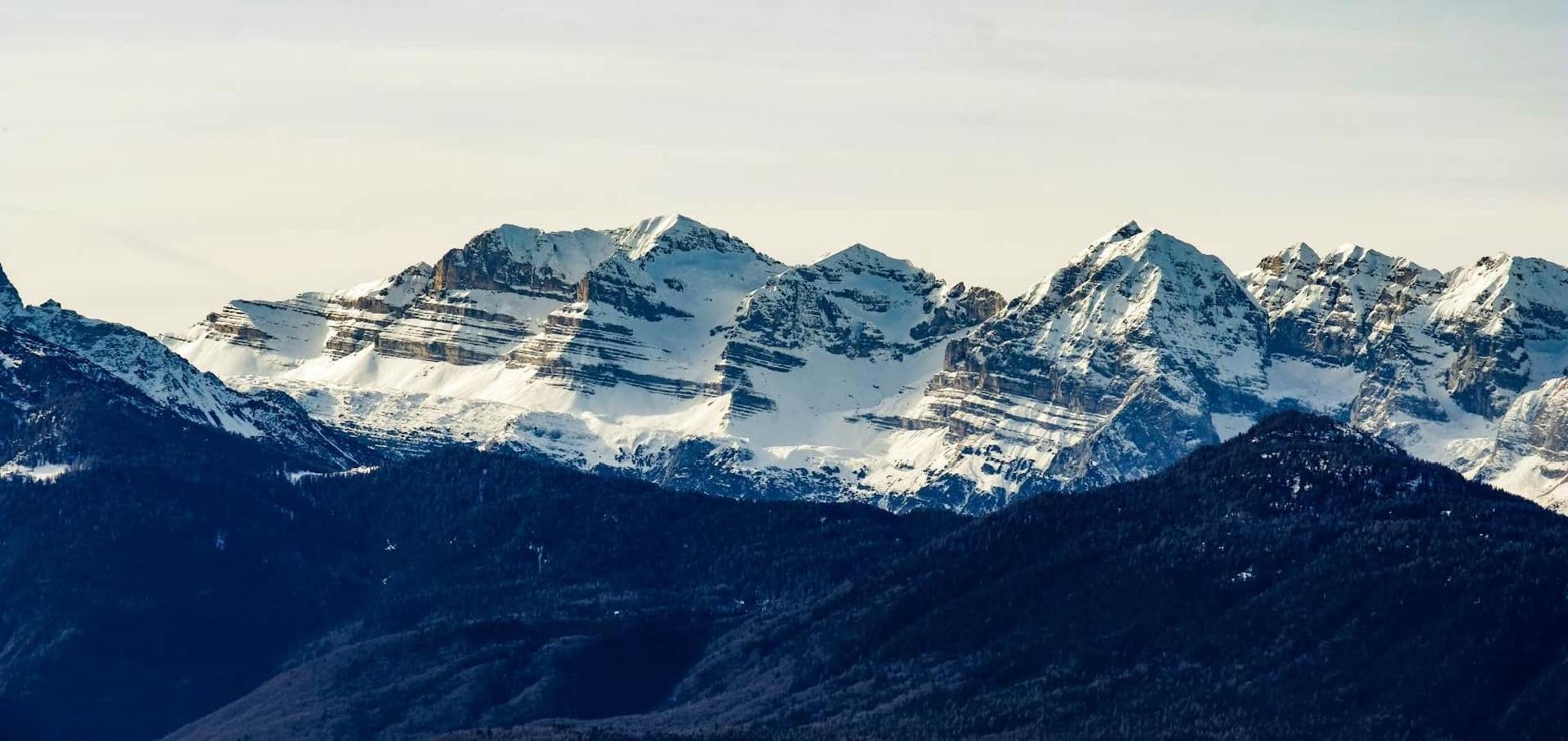 Grand Junction website design